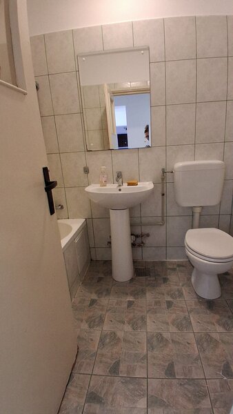 Berceni, Nitu Vasile,